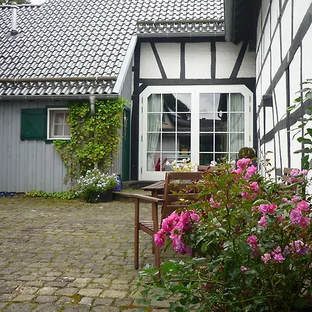 Zauberhof 10-7-2
